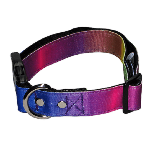 animal-shop-collar-rainbow