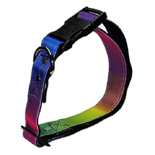 animal-shop-collar-rainbow