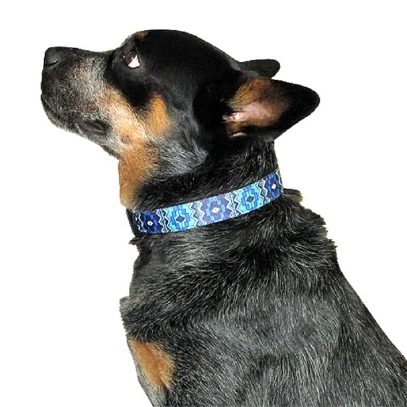 animal-shop-collar-tribal-azul