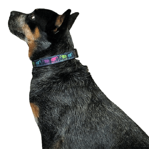 animal-shop-collar-elefantes