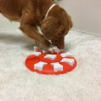 nina-ottosson-nivel-1-dog-smart