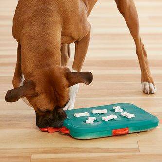 nina-ottosson-nivel-3-dog-casino