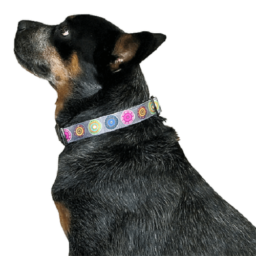 Animal Shop - Collar Mándalas