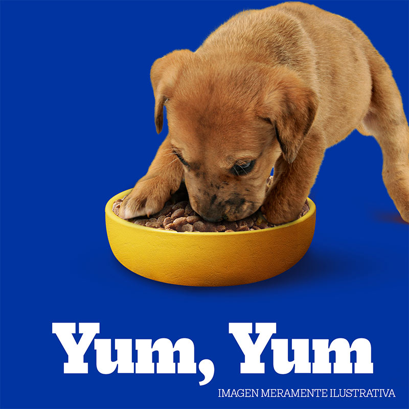 pedigree-alimento-seco-para-perro-cachorro