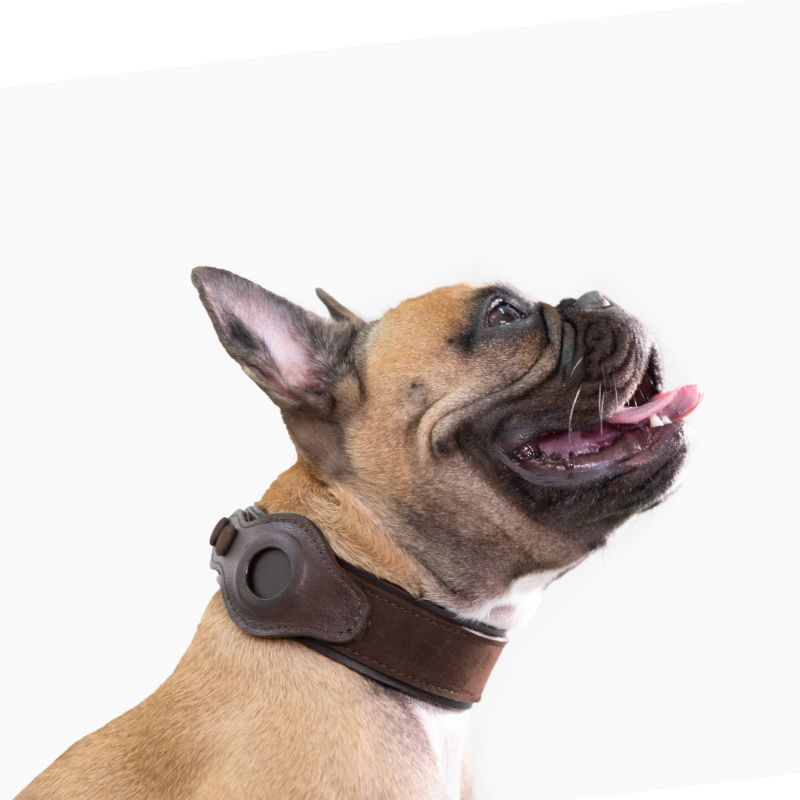 obi-pet-supplies-collar-airtag-para-perro-cafe