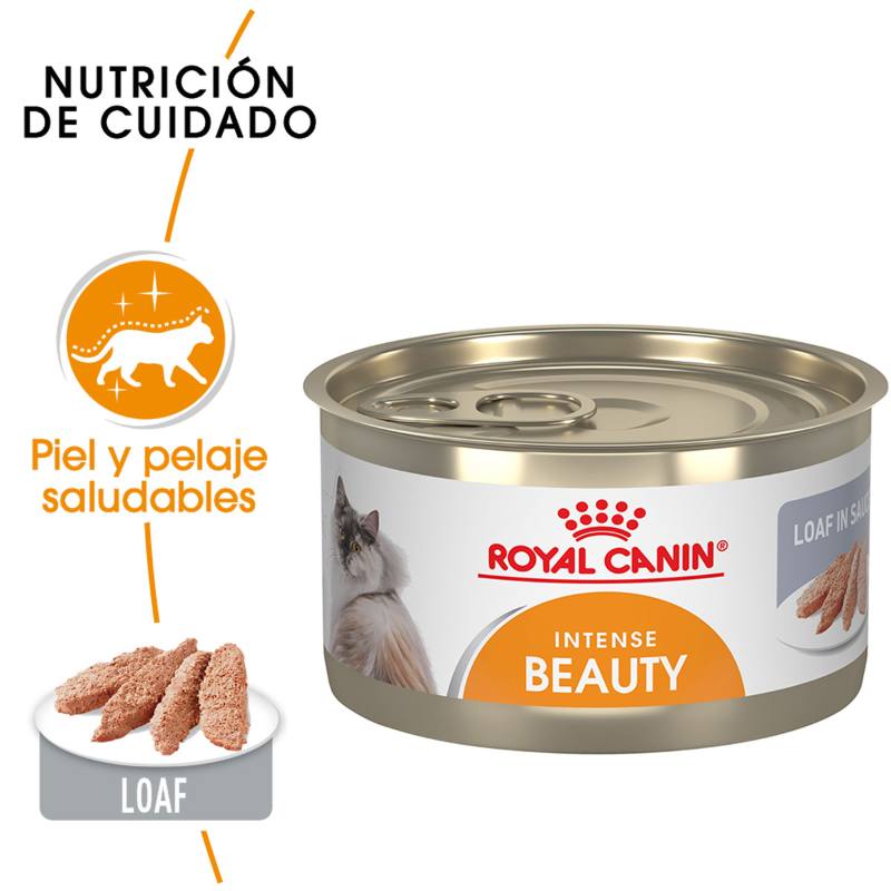 Royal Canin - Alimento Húmedo en Lata para Gato Adulto Intense Beauty Loaf In Sauce