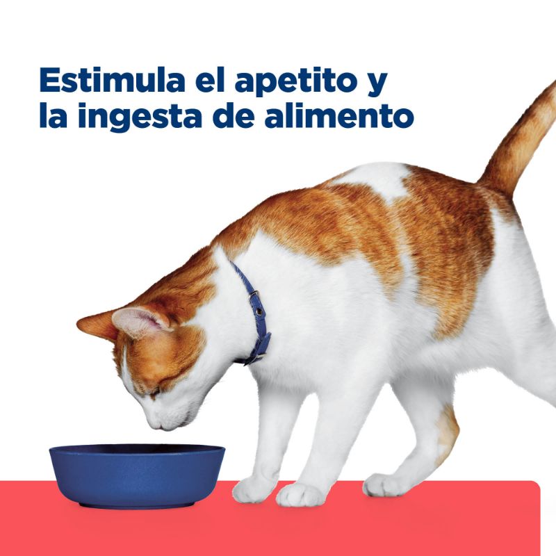 hills-prescription-diet-alimento-humedo-para-gato-onc-care-nutricion-y-apoyo-de-recuperacion
