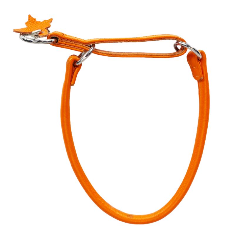 collar-glamour-martingale-choke-naranja