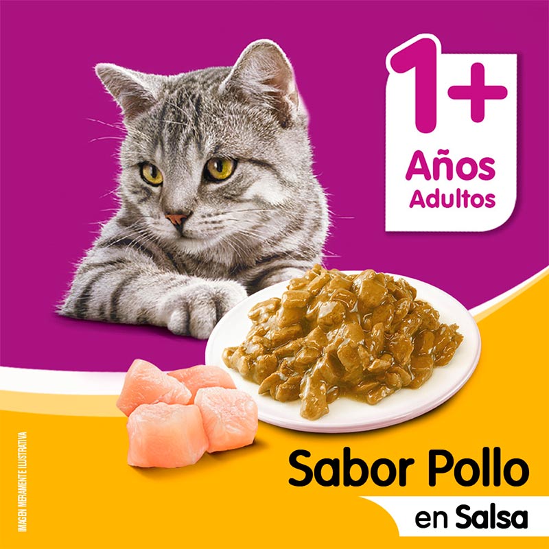 whiskas-alimento-humedo-sobrecito-gato-pollo-en-salsa