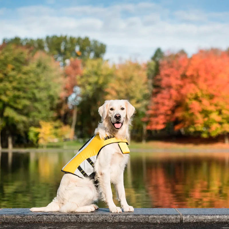 gfpet-chaleco-salvavidas-para-perros