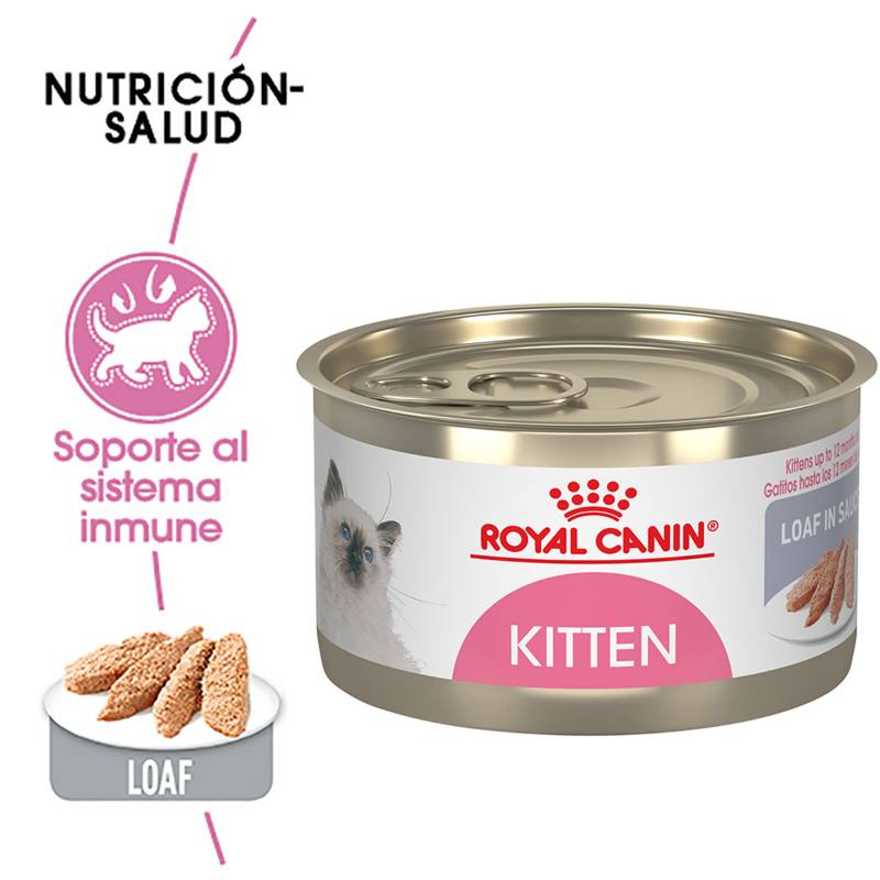 Royal Canin - Alimento Húmedo en Lata para Gatito Loaf In Sauce