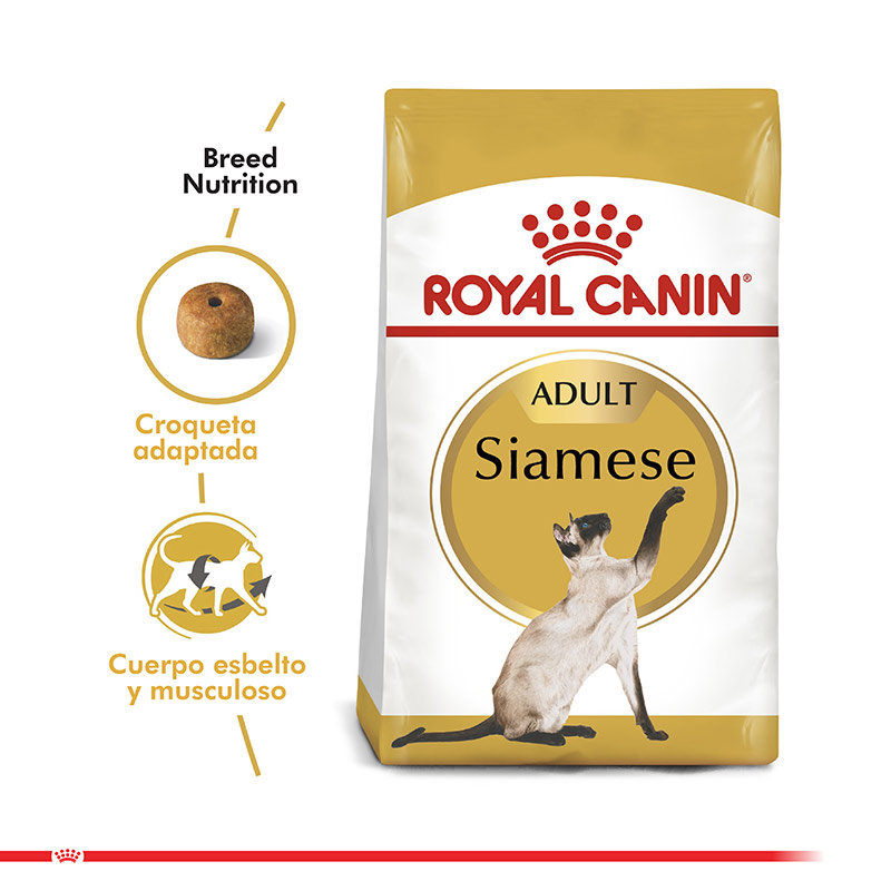 royal-canin-adulto-gato-siamese