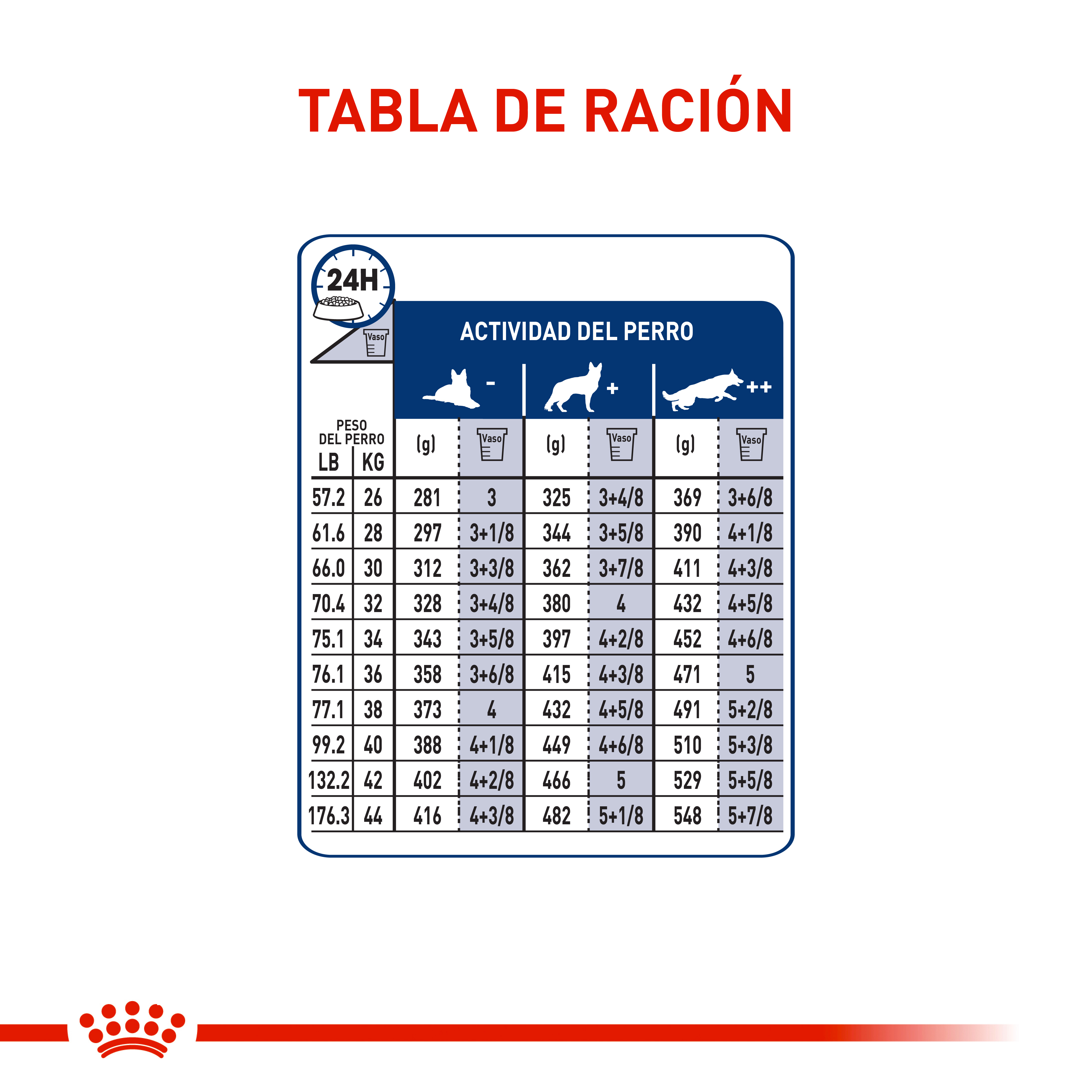 royal-canin-maxi-adult-5