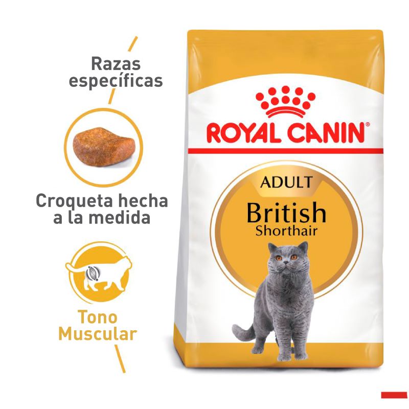 royal-canin-alimento-gato-british-shorthair