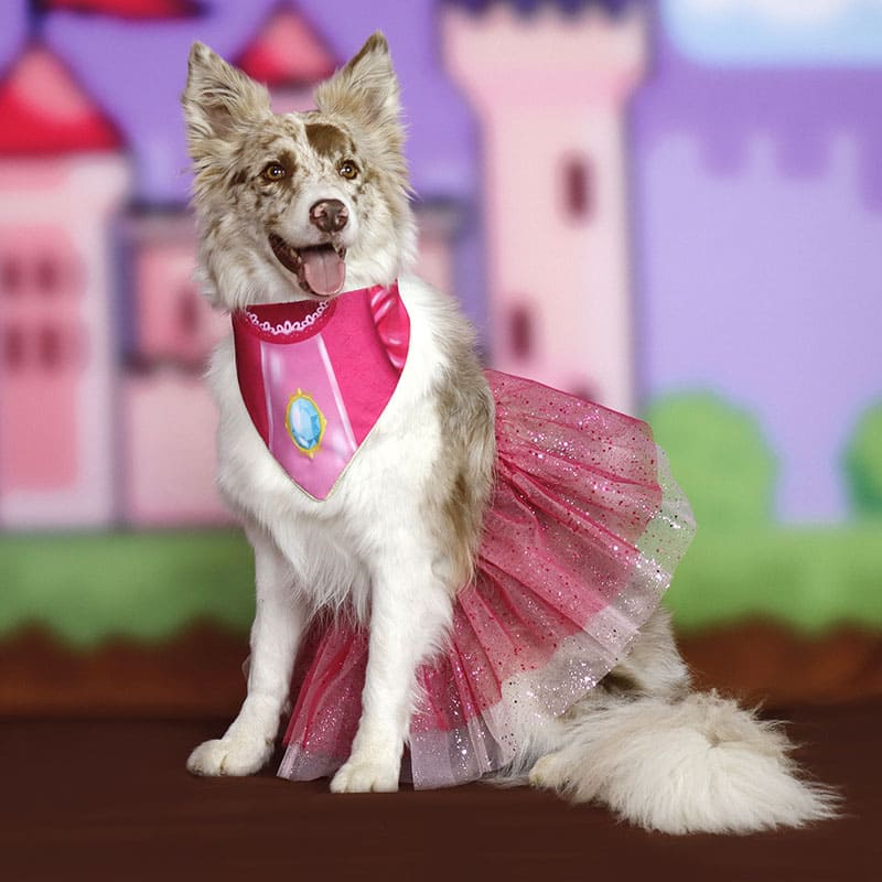 alana-bandana-disfraz-perro-princesa-pawch