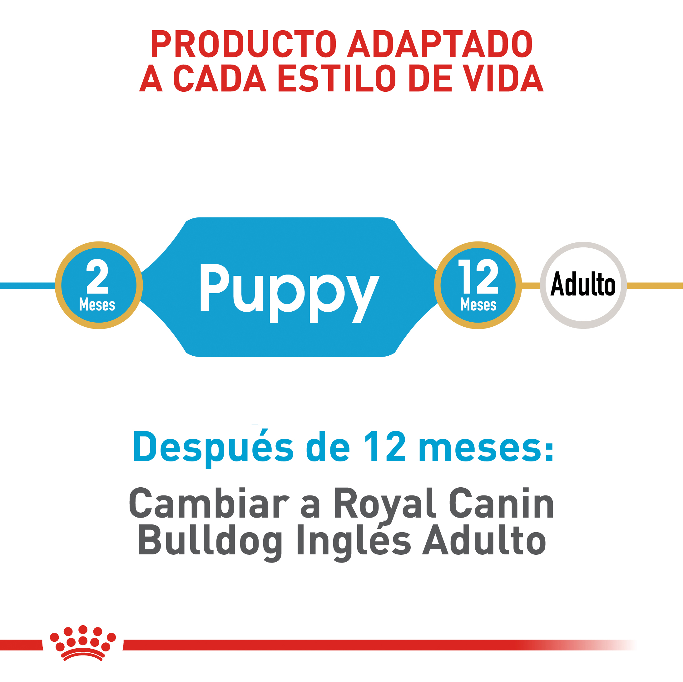 royal-canin-bulldog-ingles-puppy