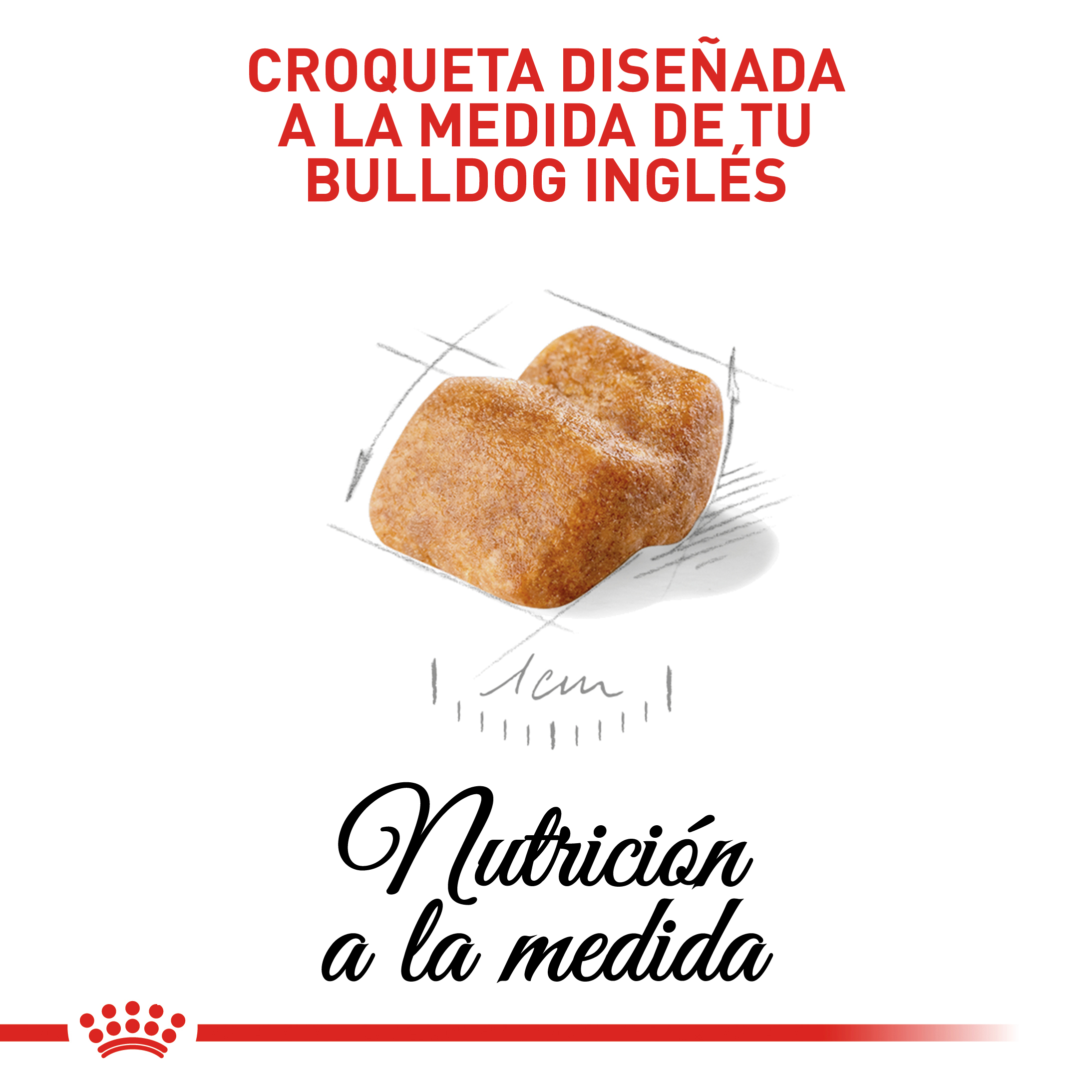 royal-canin-bulldog-ingles-puppy