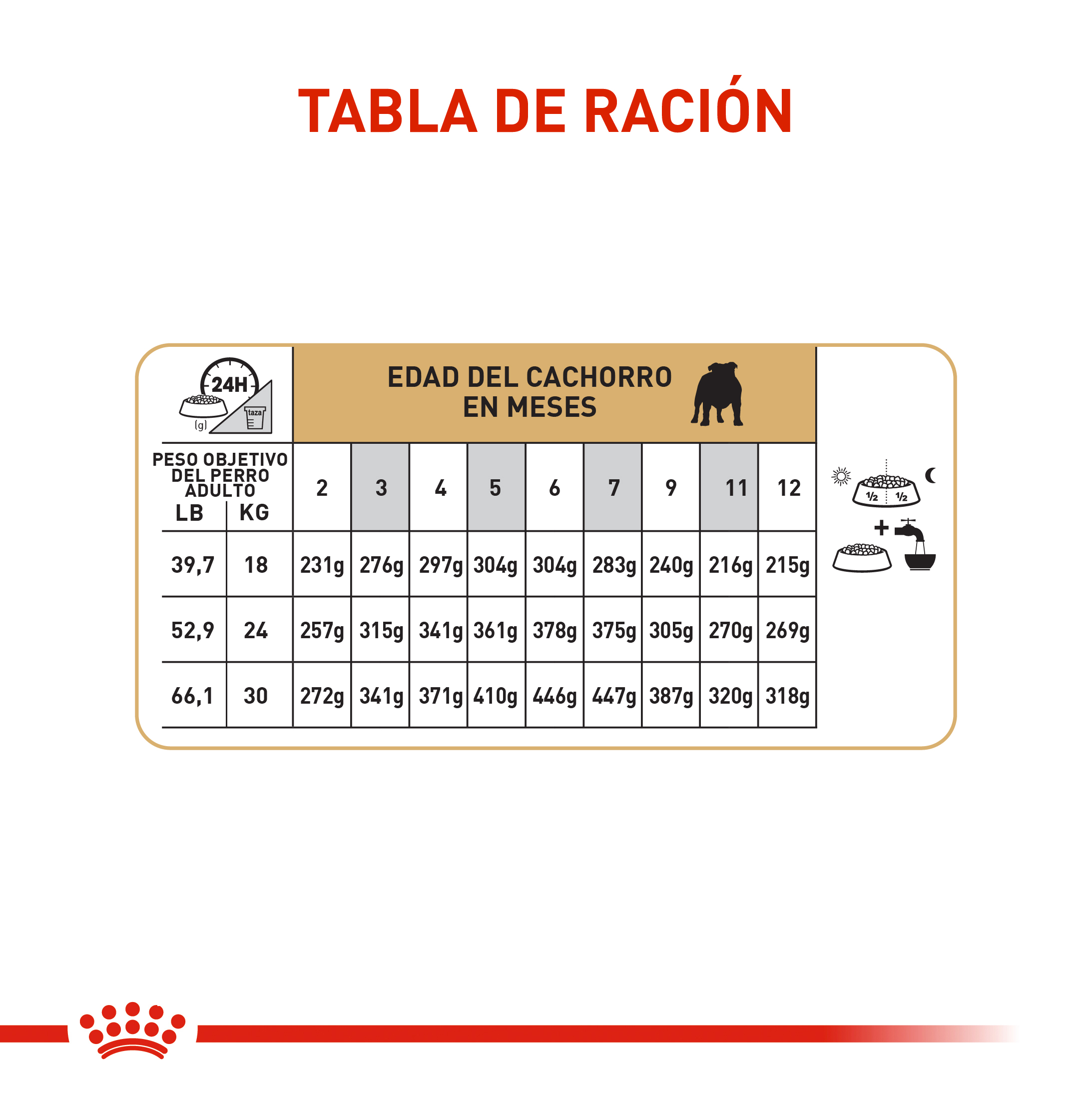 royal-canin-bulldog-ingles-puppy