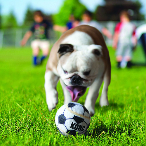 kong-sports-balls-pelota