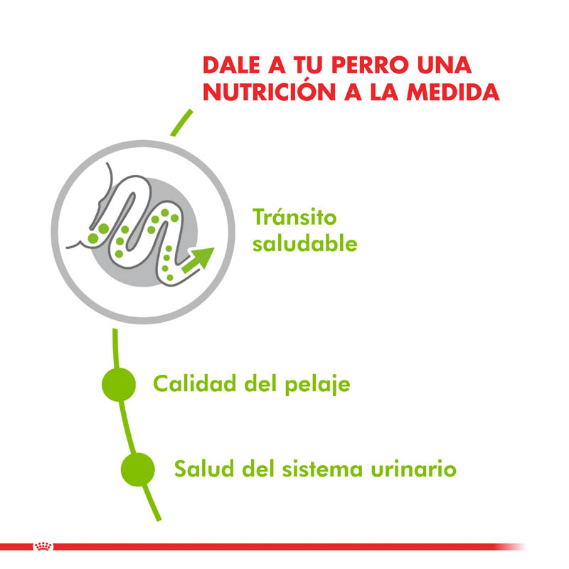 royal-canin-x-small-adulto