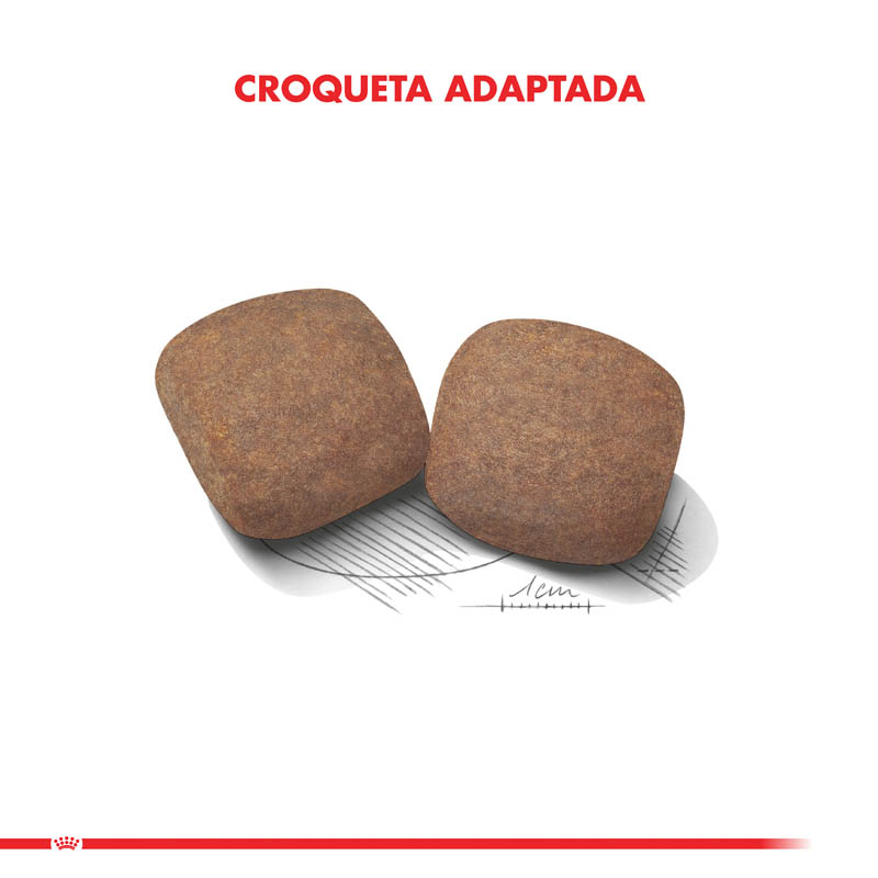 royal-canin-giant-adulto