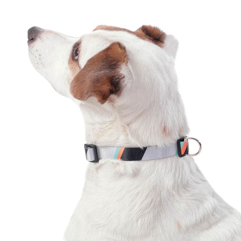 totto-pets-collar-ajustable-perro-mylu-gris