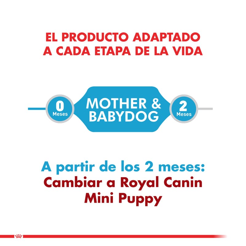 royal-canin-alimento-seco-perro-starter-mini
