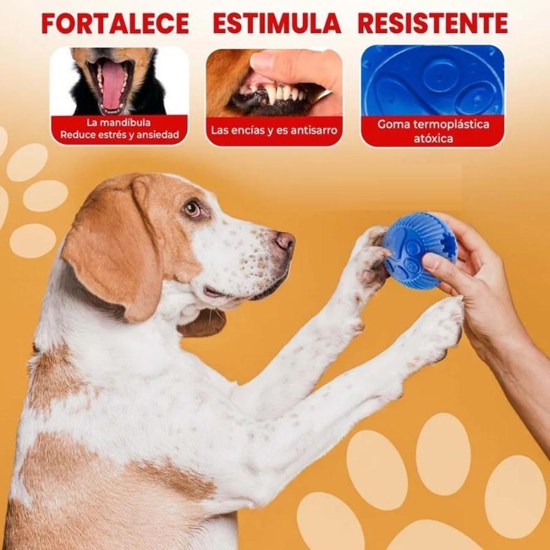 lets-play-pelota