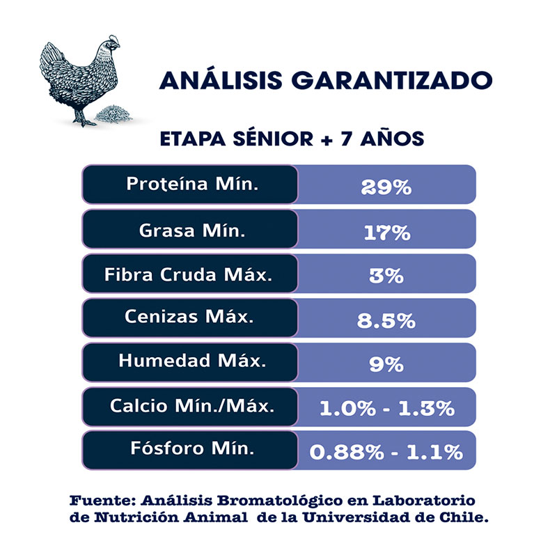 poema-senior-pollo