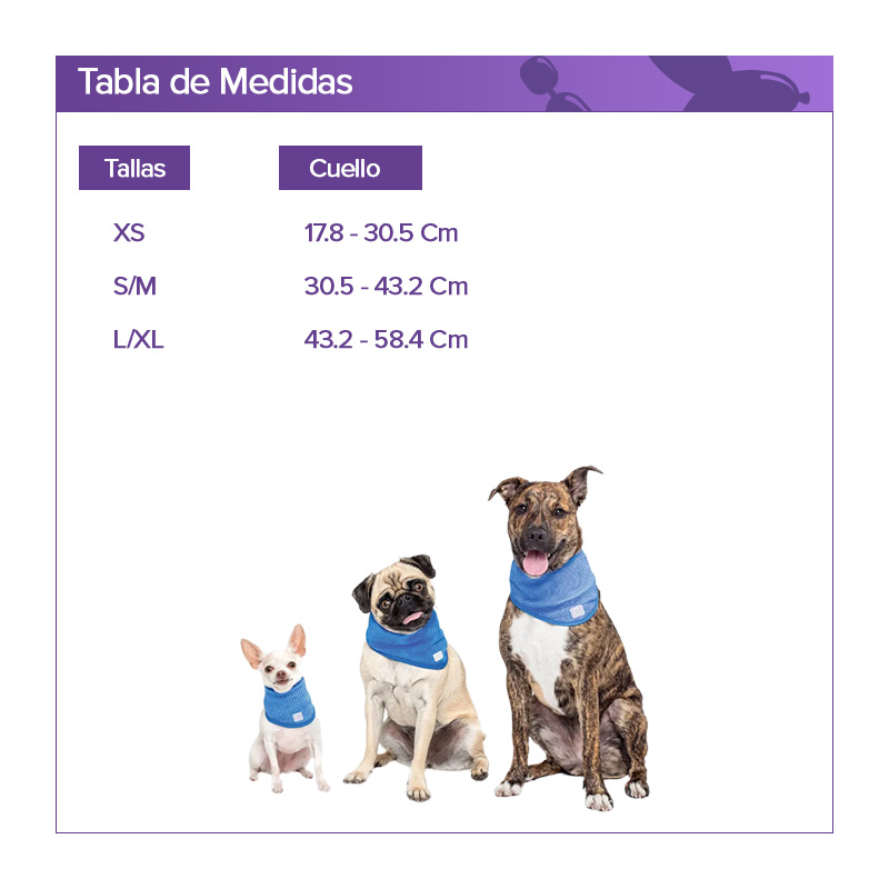 gfpet-bandana-refrescante-para-perros