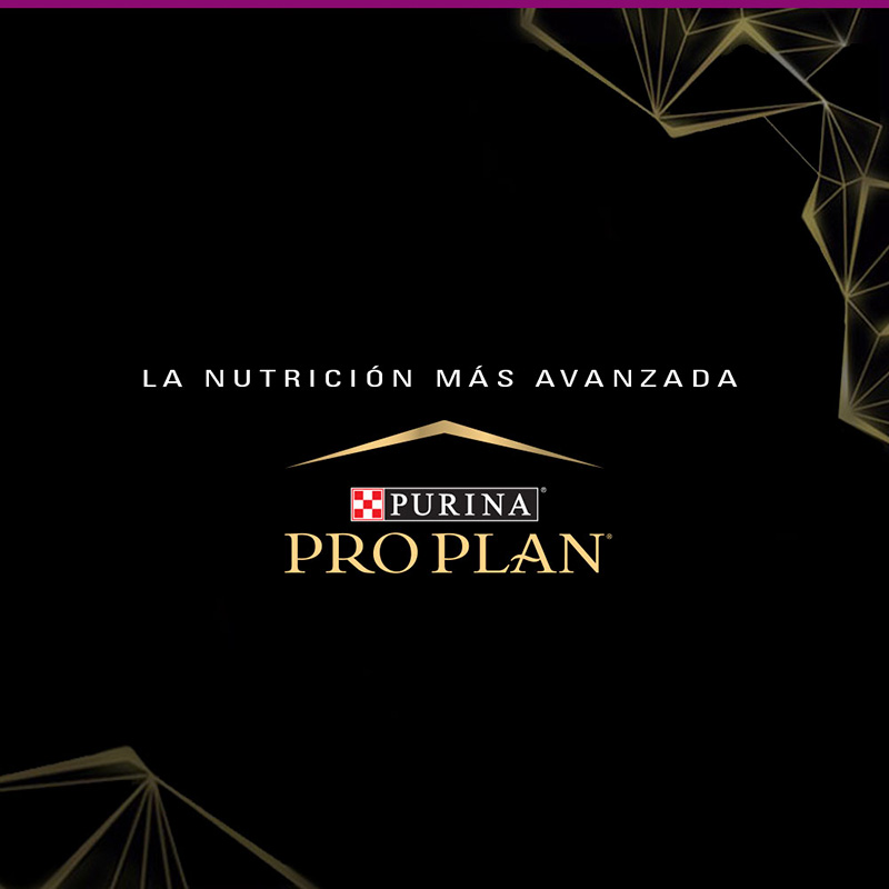pro-plan-dog-adult-exigent-optienrich-raza-pequena