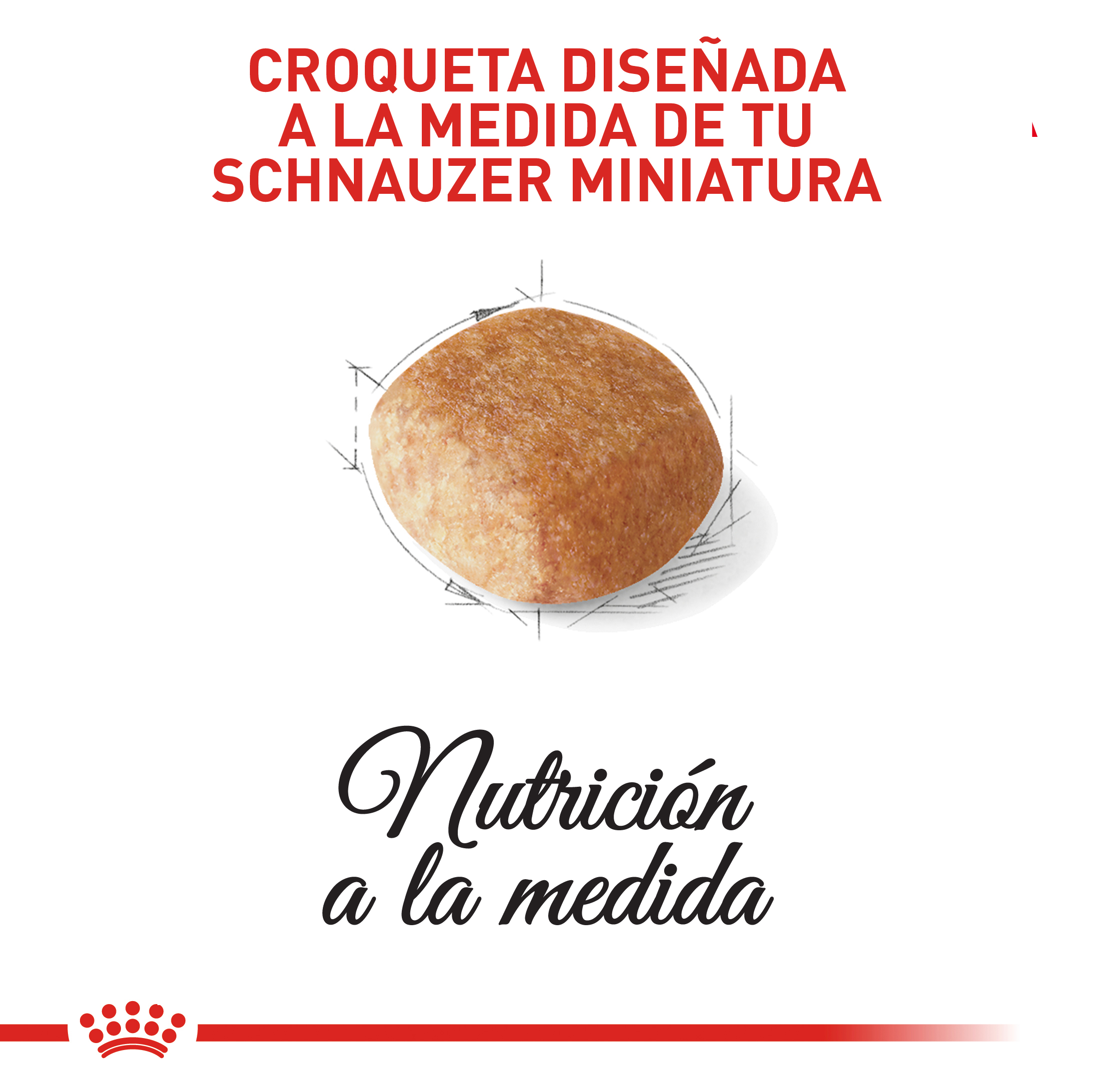 royal-canin-schnauzer-miniatura-adulto