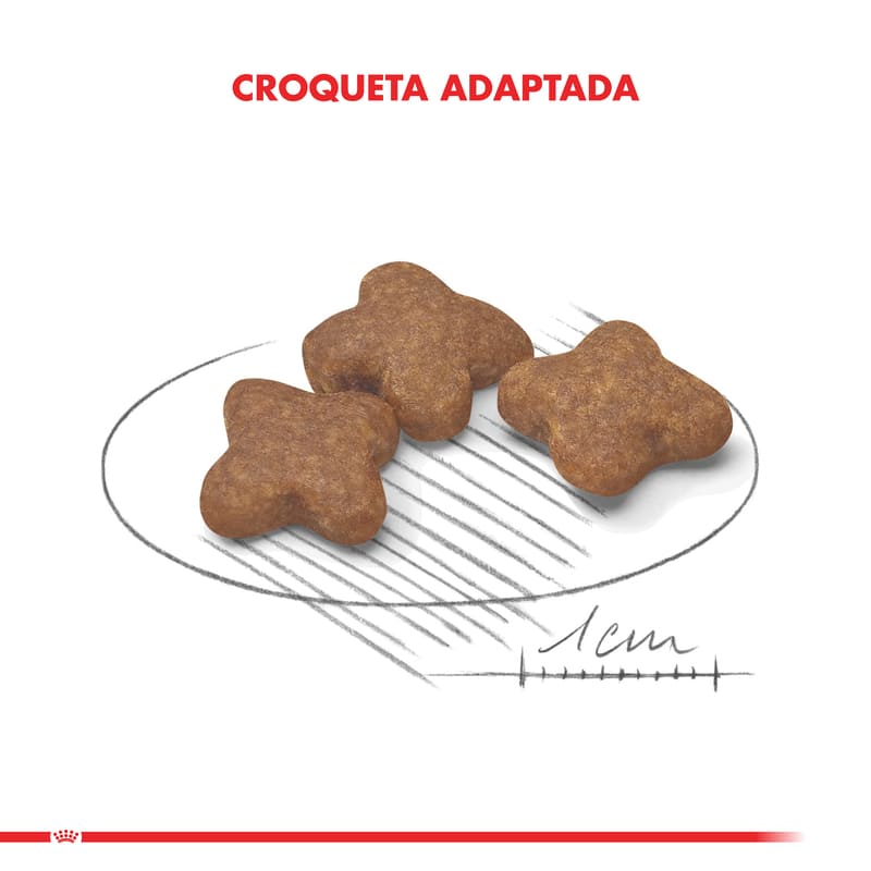 royal-canin-mini-adulto-8