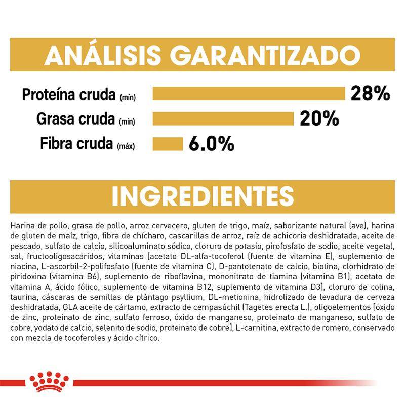 royal-canin-persa-adulto