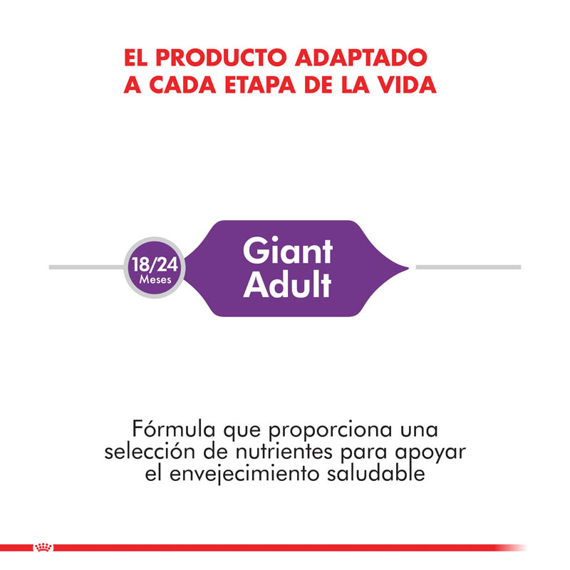 royal-canin-giant-adulto