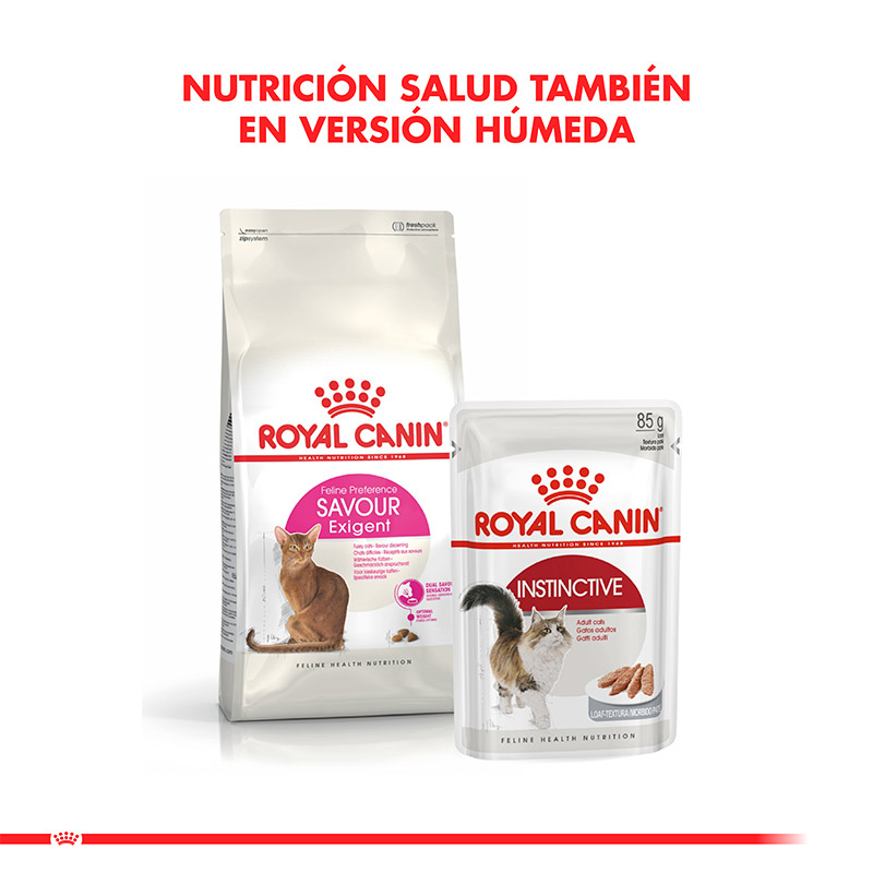 royal-canin-alimento-gato-adulto-exigent