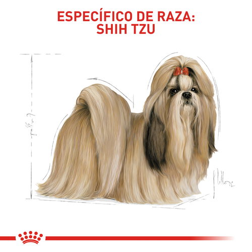 royal-canin-shih-tzu-adulto