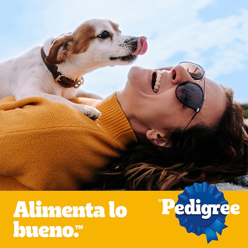 pedigree-alimento-seco-para-perro-adulto-mayor-7-anos