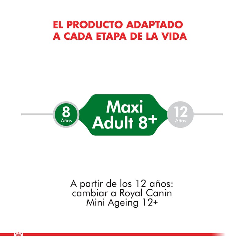 royal-canin-mini-adulto-8