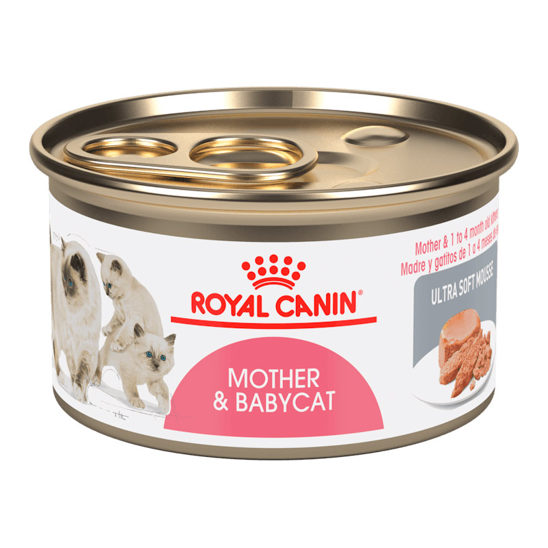 Royal Canin - Alimento Húmedo Gatitos Mother & Babycat