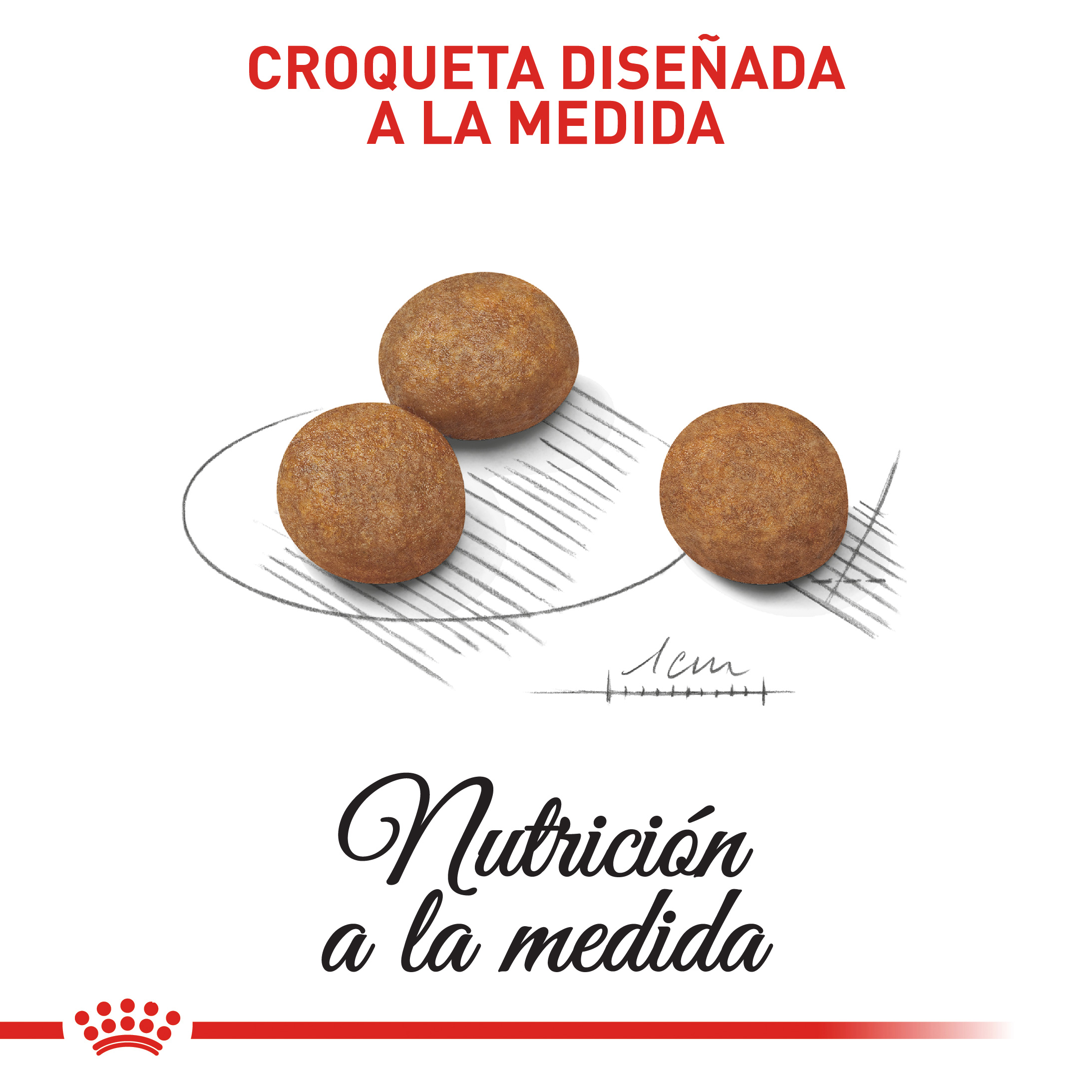 royal-canin-medium-puppy