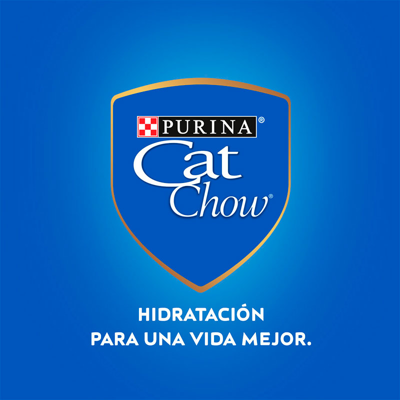 cat-chow-adultos-carne