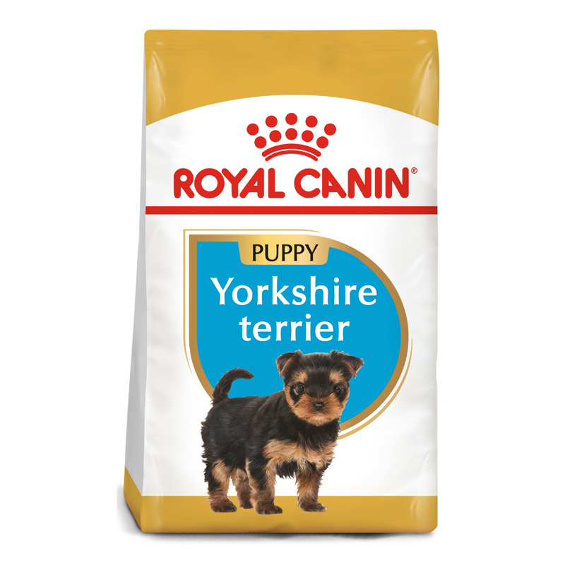 royal-canin-yorkshire-terrier-puppy