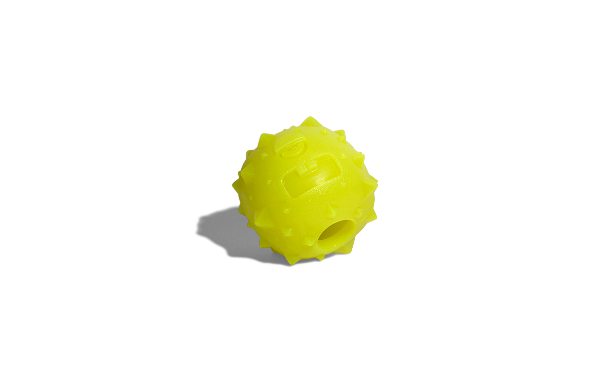 zeedog-rob-the-microbe