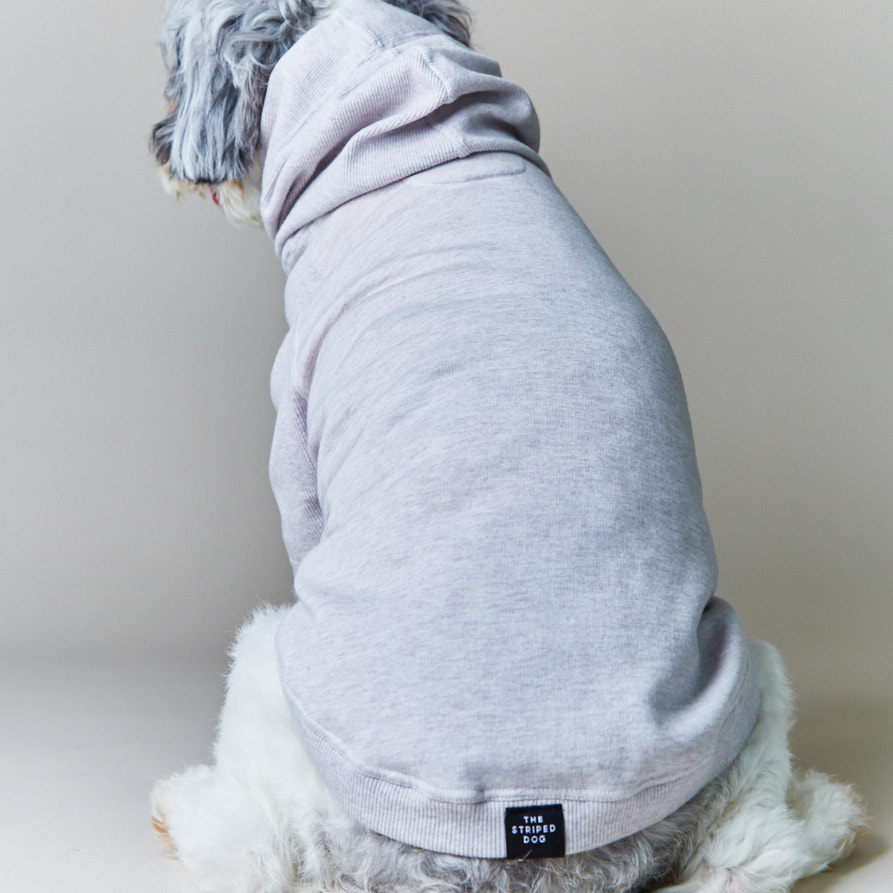 the-striped-dog-sueter-con-capucha-manga-34-noak