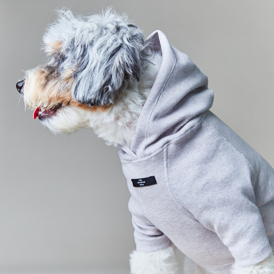 the-striped-dog-sueter-con-capucha-manga-34-noak