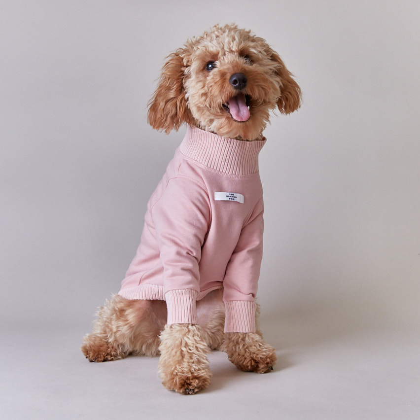 The Striped Dog Suéter cuello redondo manga larga y bolsillo PADDINGTON
