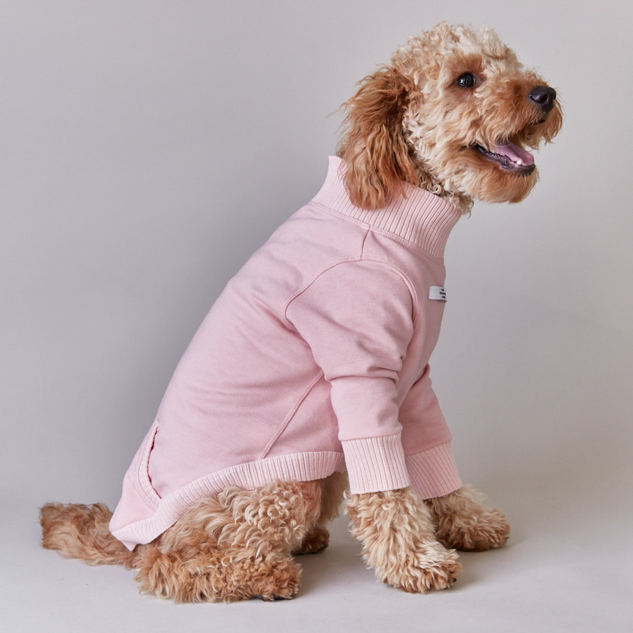 the-striped-dog-sueter-cuello-redondo-manga-larga-y-bolsillo-paddington