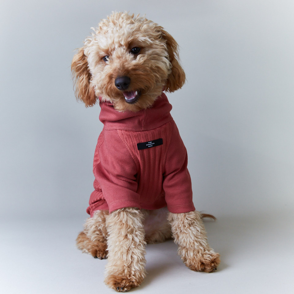 the-striped-dog-sueter-cuello-tortuga-manga-34-cambridge
