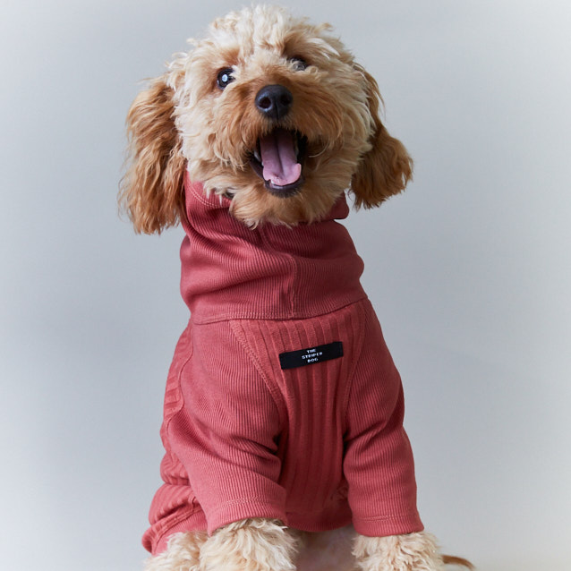 the-striped-dog-sueter-cuello-tortuga-manga-34-cambridge